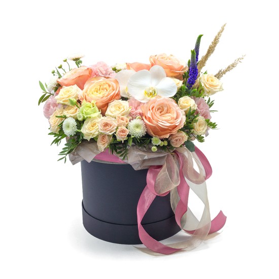 Curiosity - flowerbox