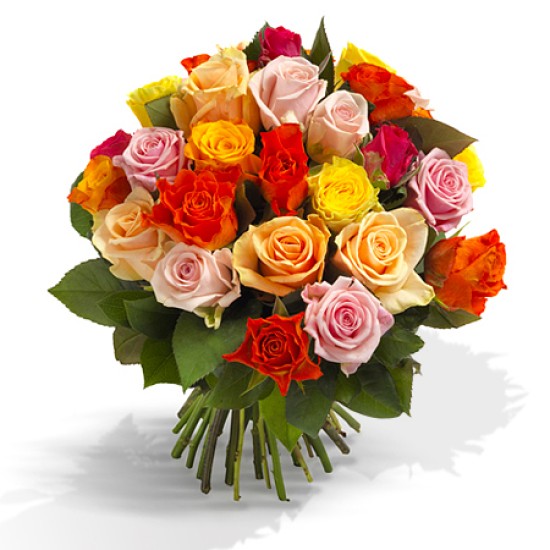 A'la nature - Colorful roses