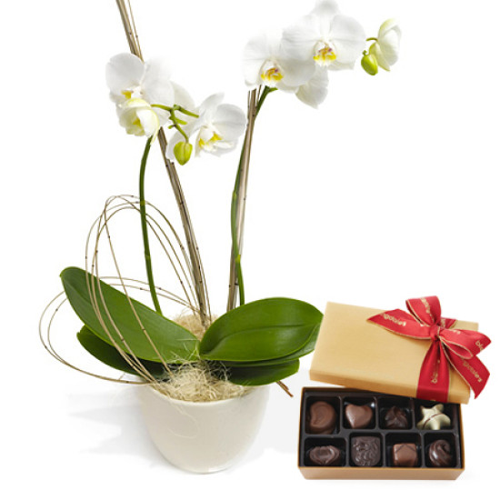 Figyelmes kedvesség- Virág & Csokoládé