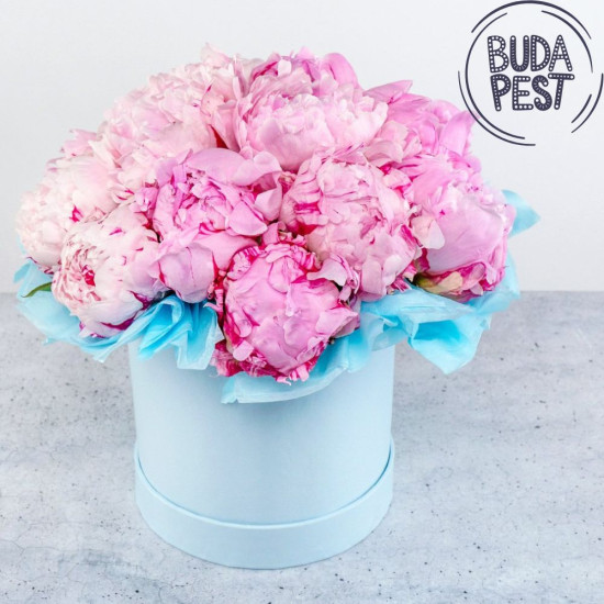 Peonia virágdoboz- csak Budapestre